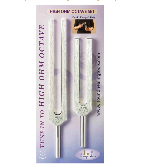 【値下げ】BioSonics 【G 192 】チューニングフォーク Otto Tuning Fork 192 hz — Sound therapy and vibroacoustic treatments